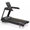 Tapis de course AC2990 Impulse