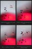 Appareil de thérapie par photobiomodulation - Carré Rouge